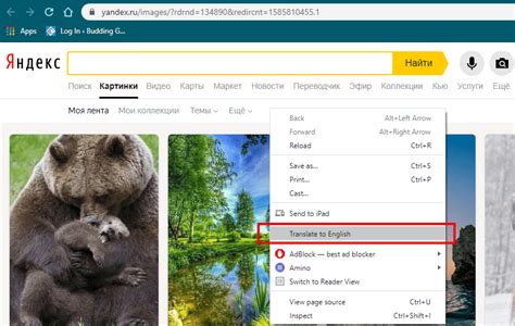 yandex image serach|yandex image lookup.